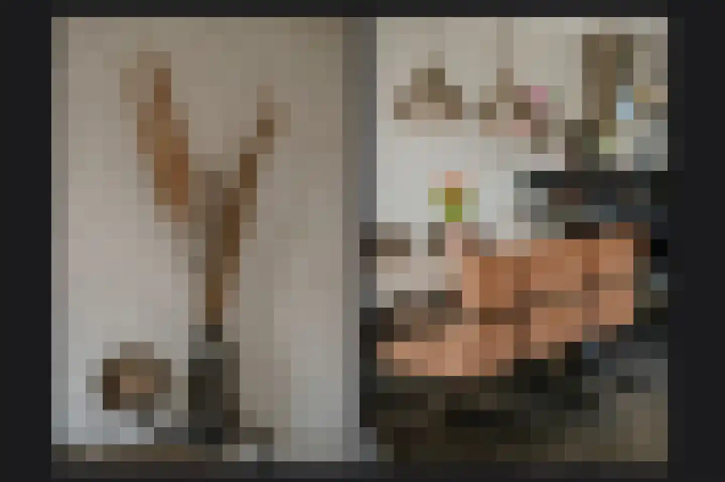 Rietkamp 19 Gameren thumbnail 11
