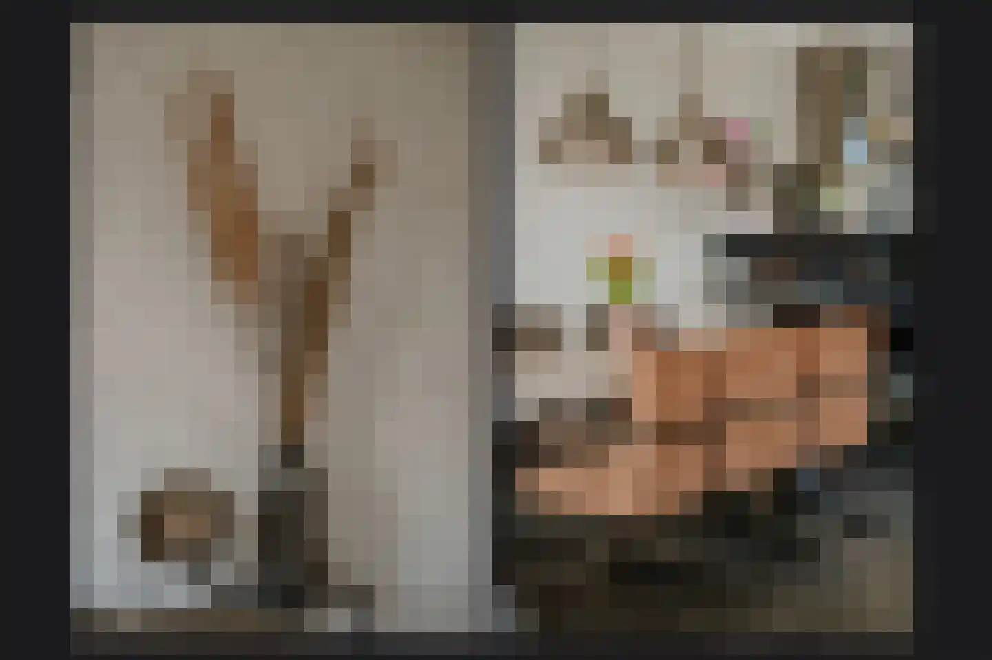Rietkamp 19 Gameren thumbnail 12