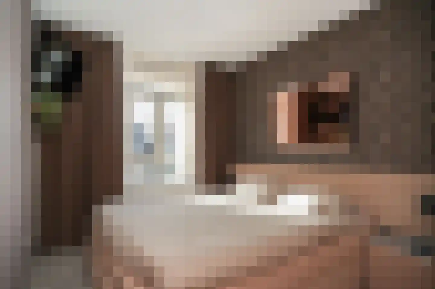 Rietkamp 19 Gameren thumbnail 17