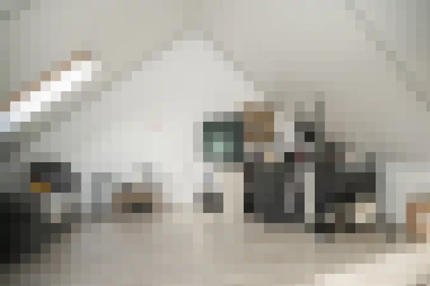 Rietkamp 19 Gameren thumbnail 25