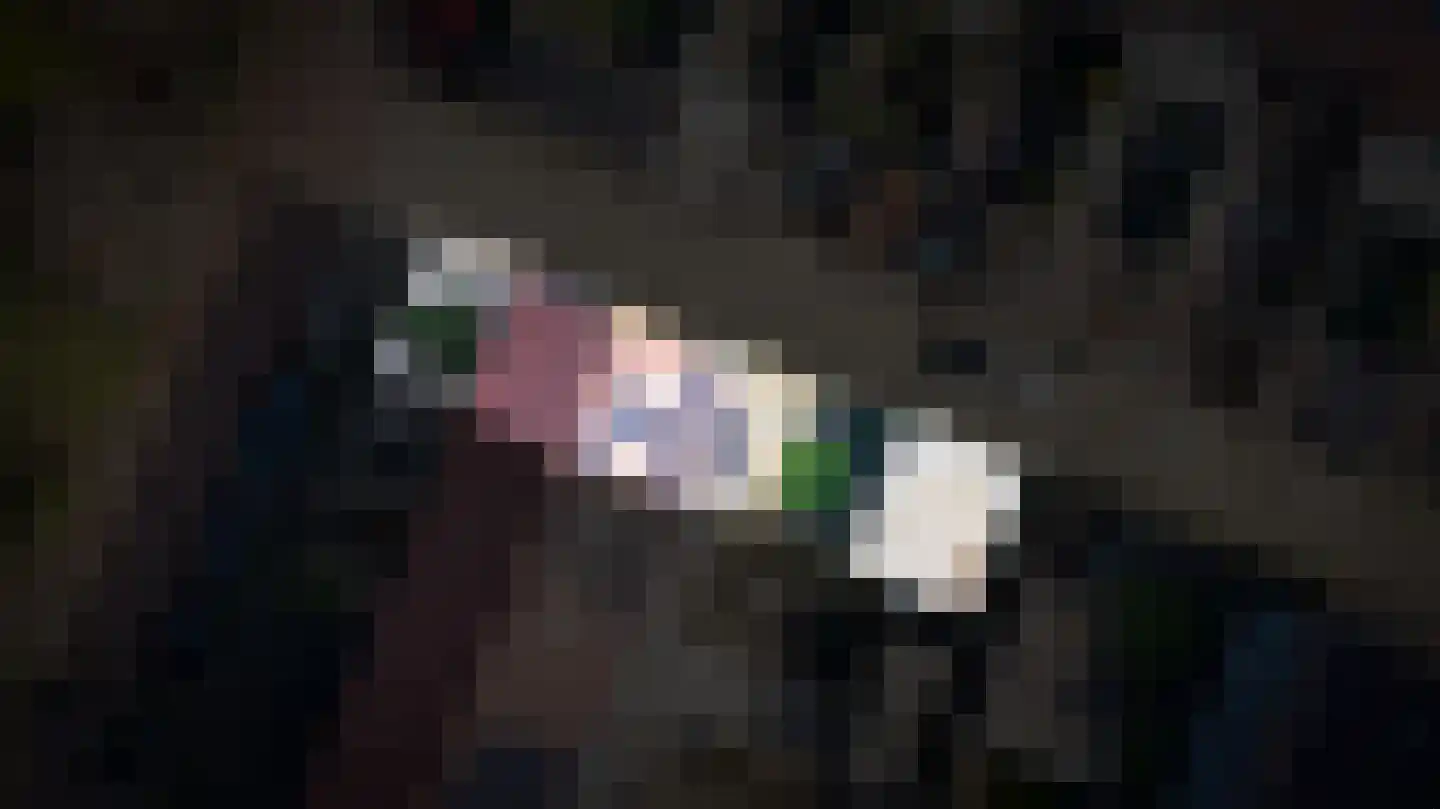 Rietkamp 19 Gameren thumbnail 32
