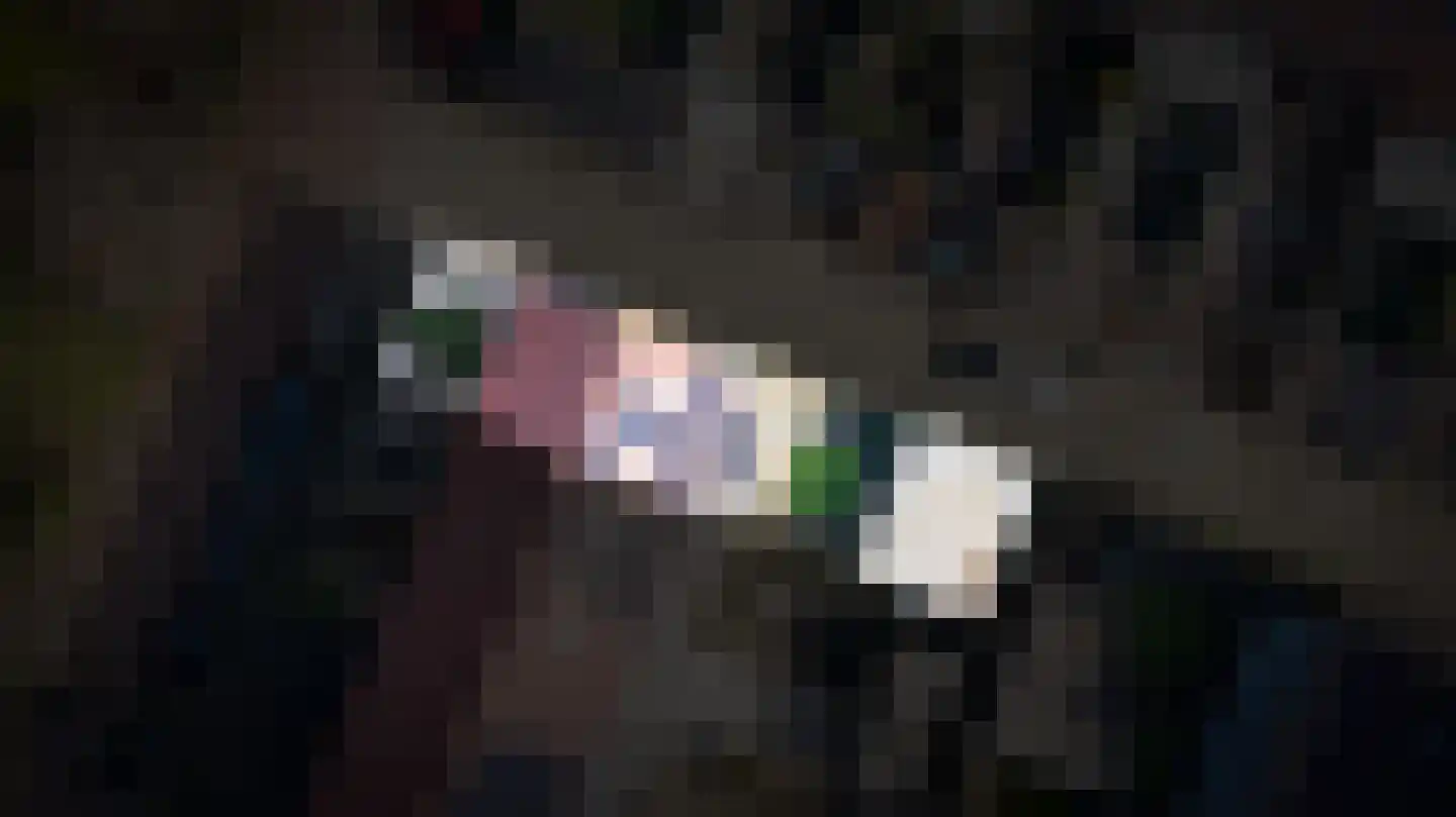 Rietkamp 19 Gameren thumbnail 34