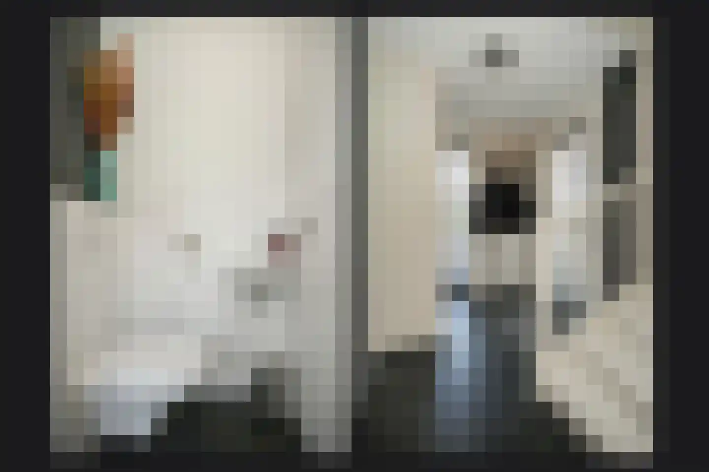 Rietkamp 19 Gameren thumbnail 6