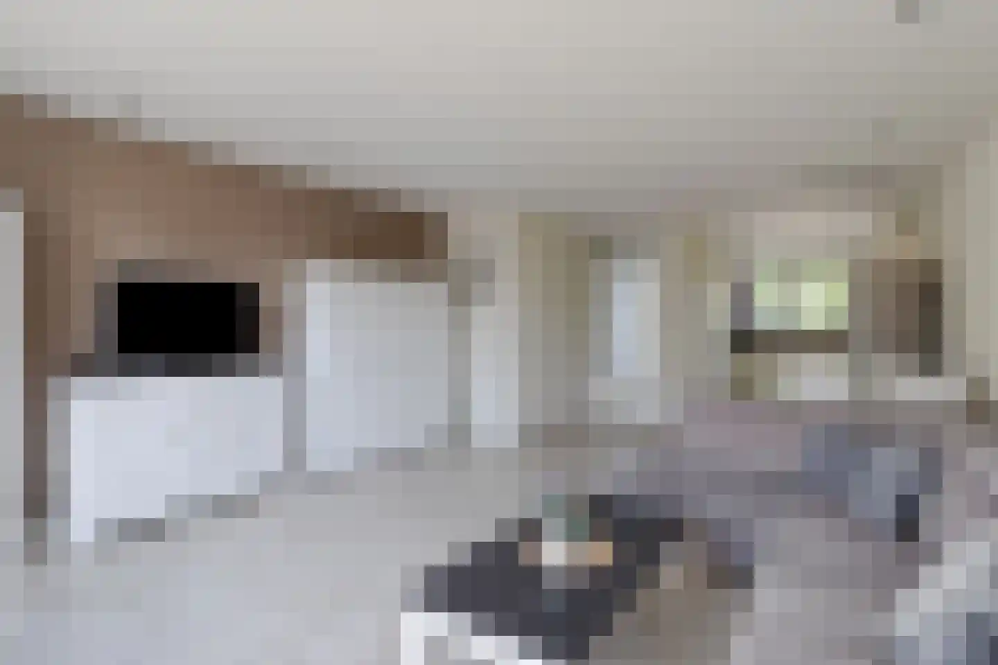 Rietkamp 21 Gameren thumbnail 15