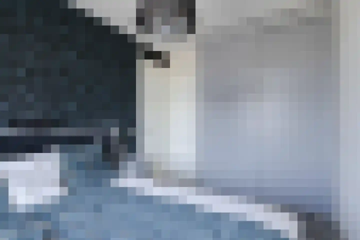Rietkamp 21 Gameren thumbnail 29