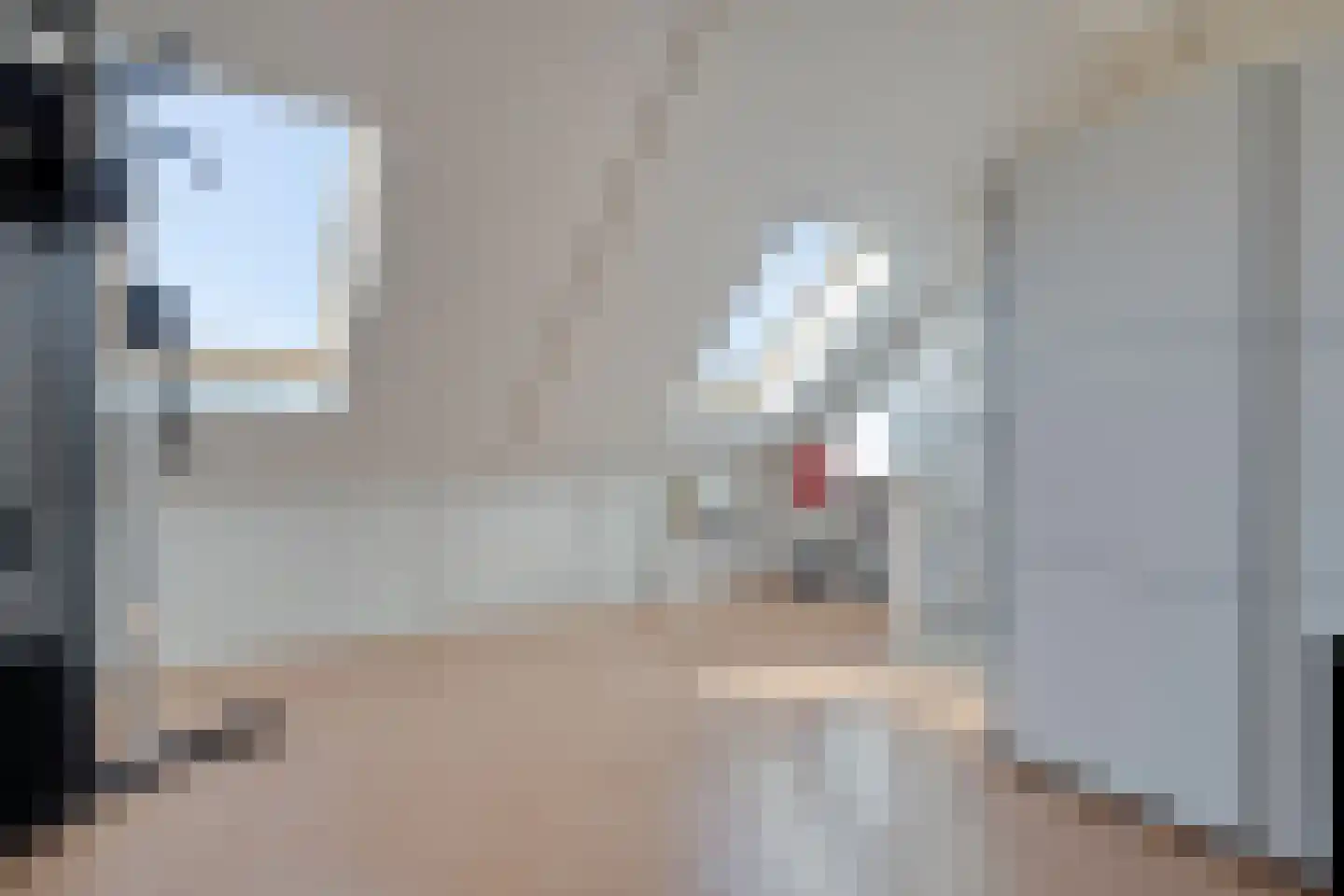 Rietkamp 21 Gameren thumbnail 43