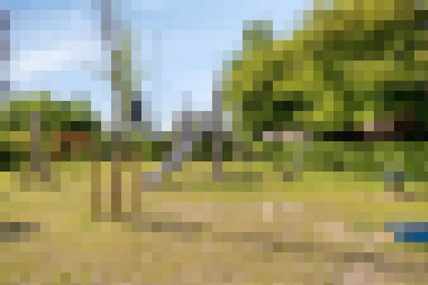 Rietkamp 21 Gameren thumbnail 54