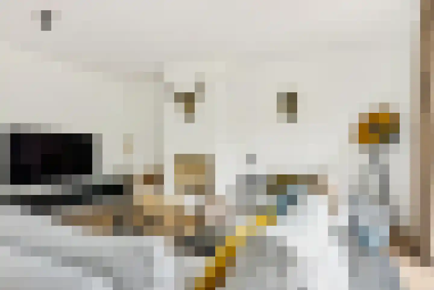 Rietkamp 23 Odijk thumbnail 16
