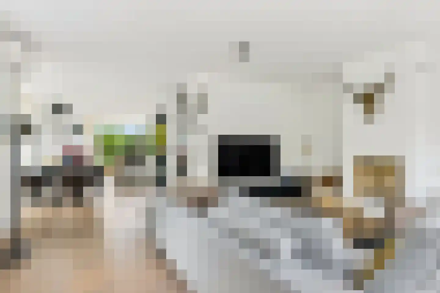Rietkamp 23 Odijk thumbnail 18