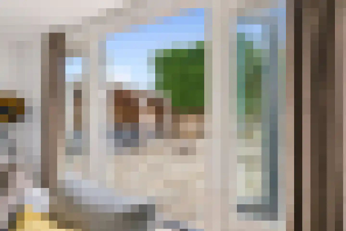 Rietkamp 23 Odijk thumbnail 22
