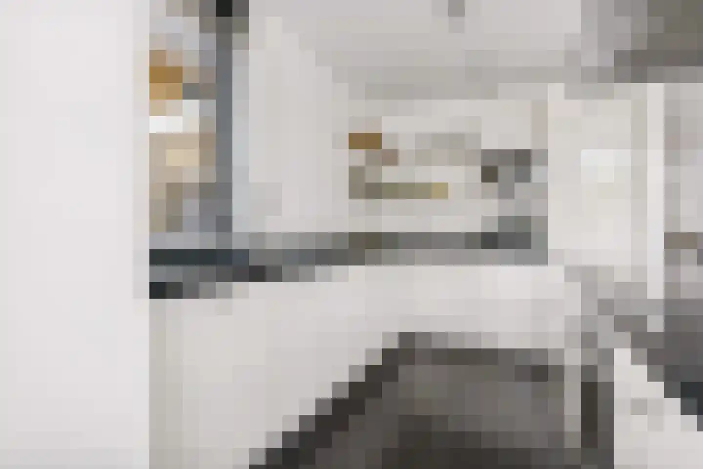 Rietkamp 23 Odijk thumbnail 29