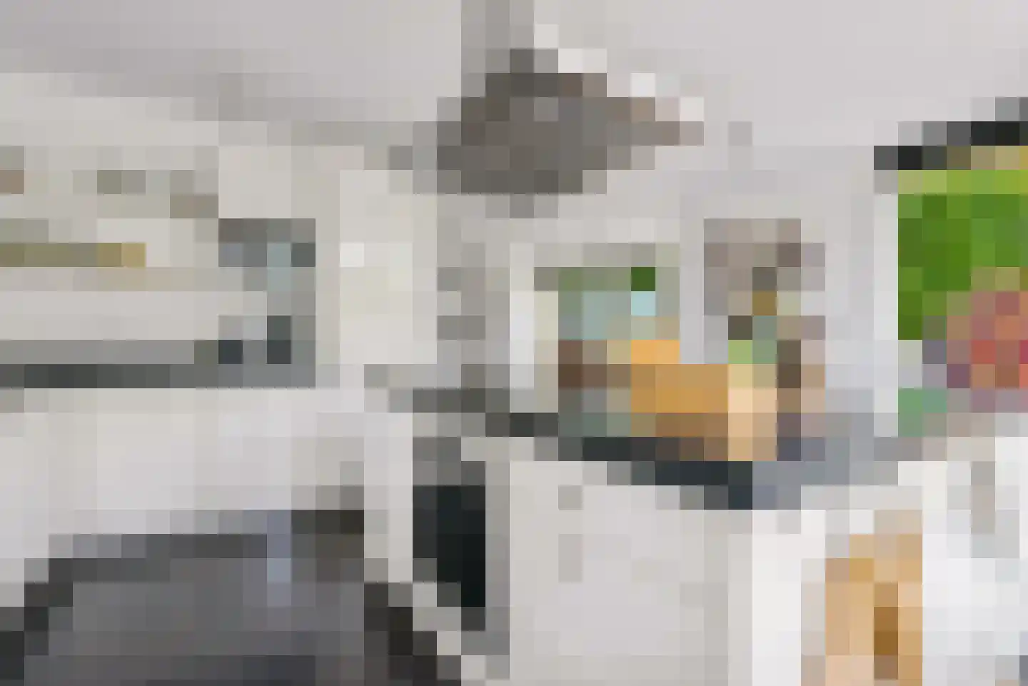 Rietkamp 23 Odijk thumbnail 30