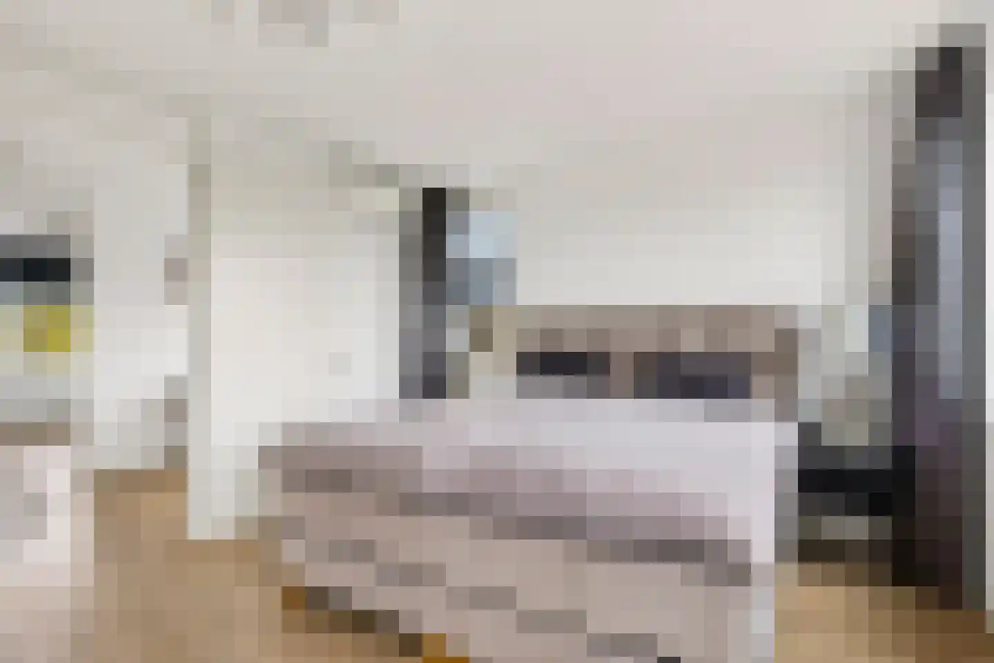Rietkamp 23 Odijk thumbnail 36