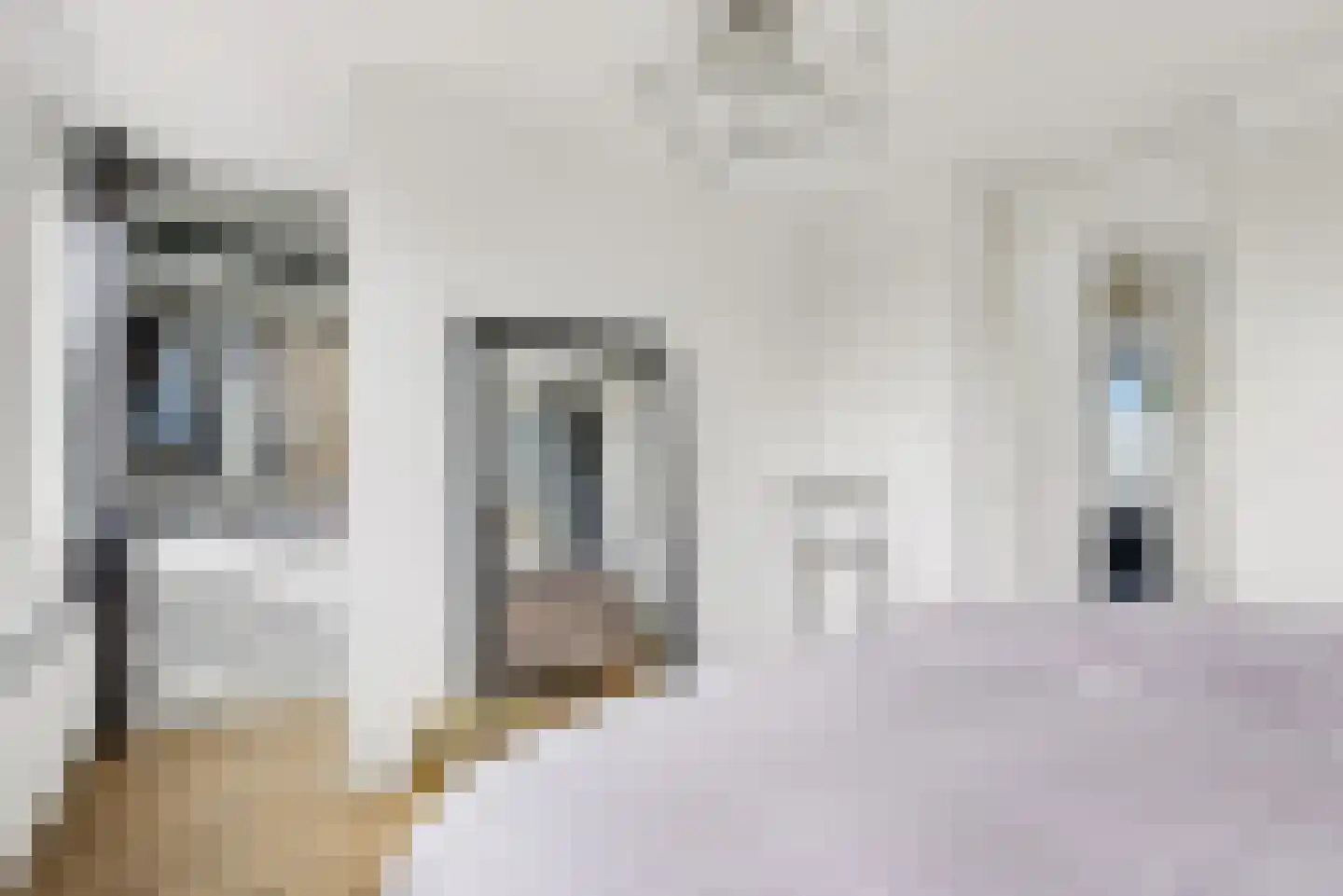 Rietkamp 23 Odijk thumbnail 37