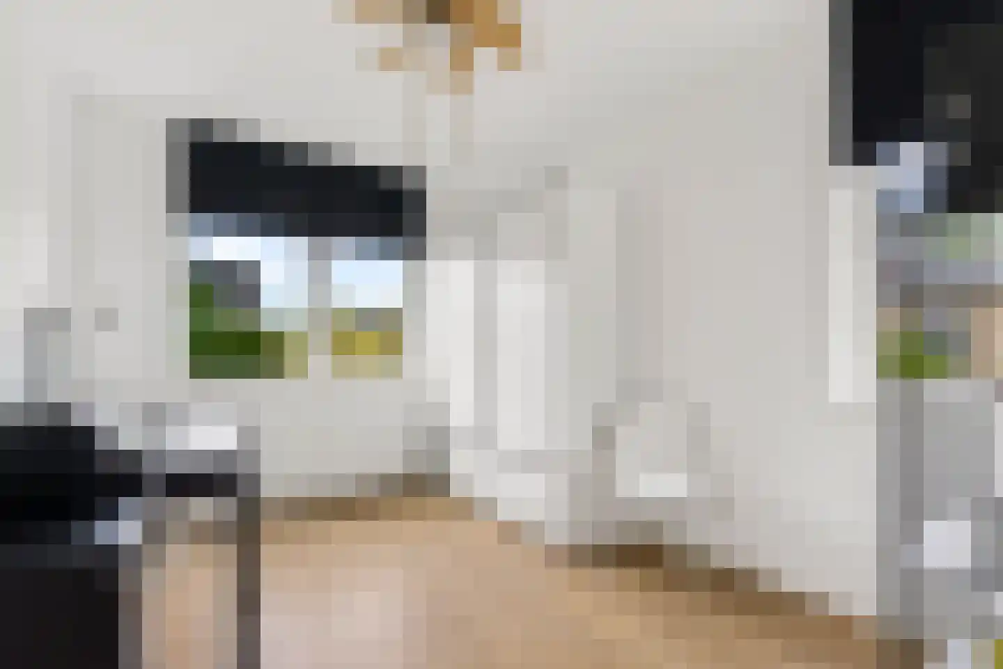 Rietkamp 23 Odijk thumbnail 39