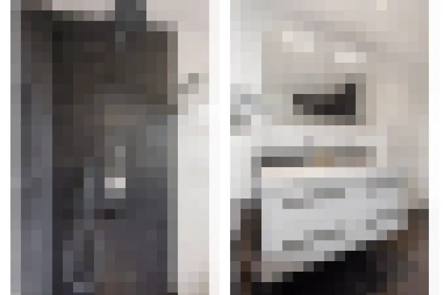 Rietkamp 23 Odijk thumbnail 43