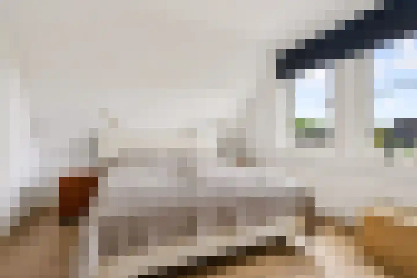 Rietkamp 23 Odijk thumbnail 45