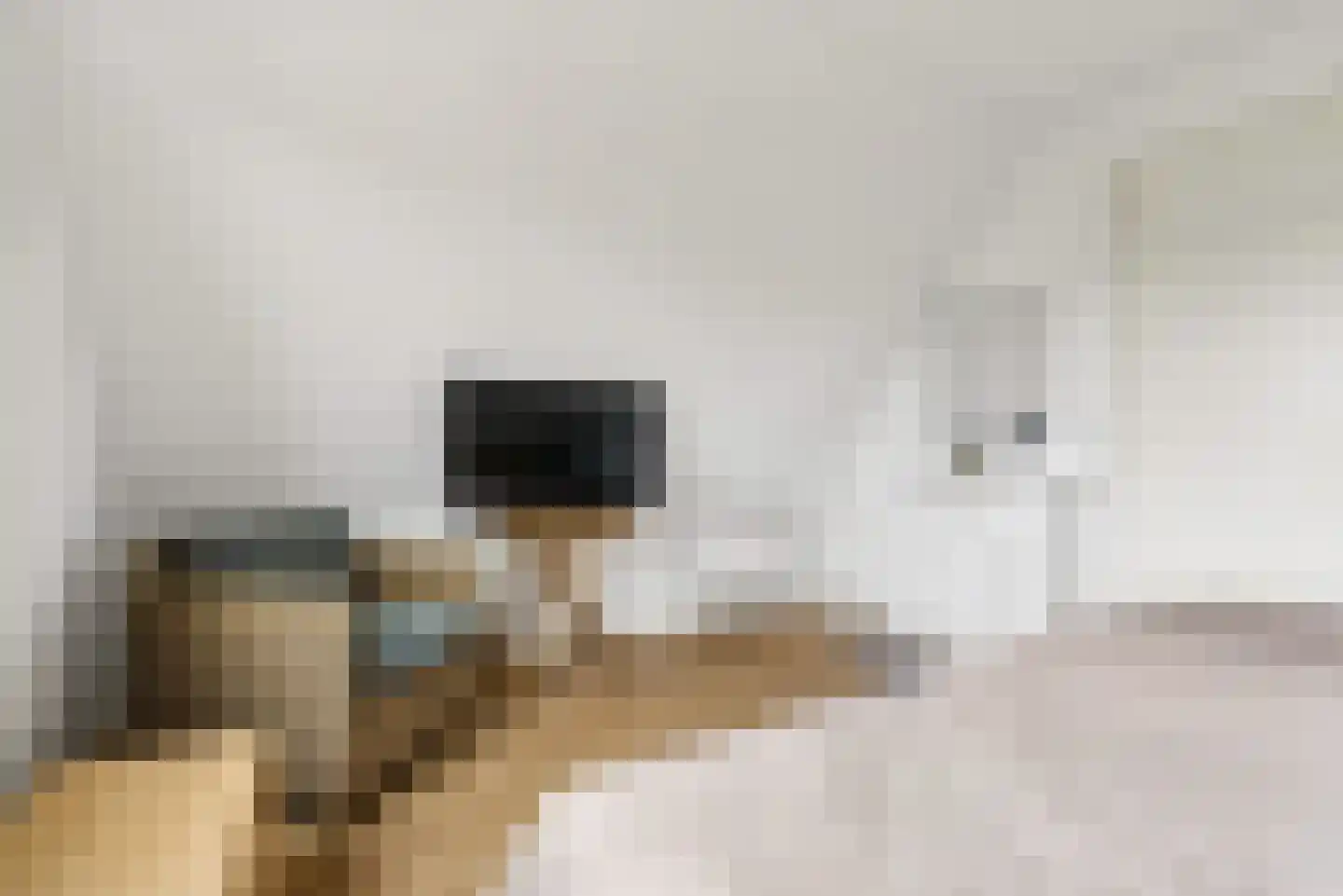 Rietkamp 23 Odijk thumbnail 46