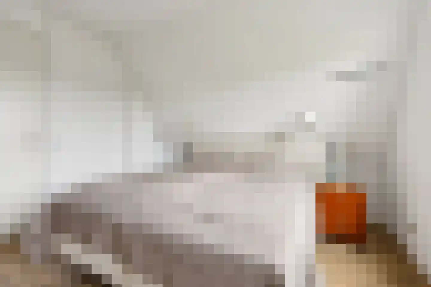 Rietkamp 23 Odijk thumbnail 47