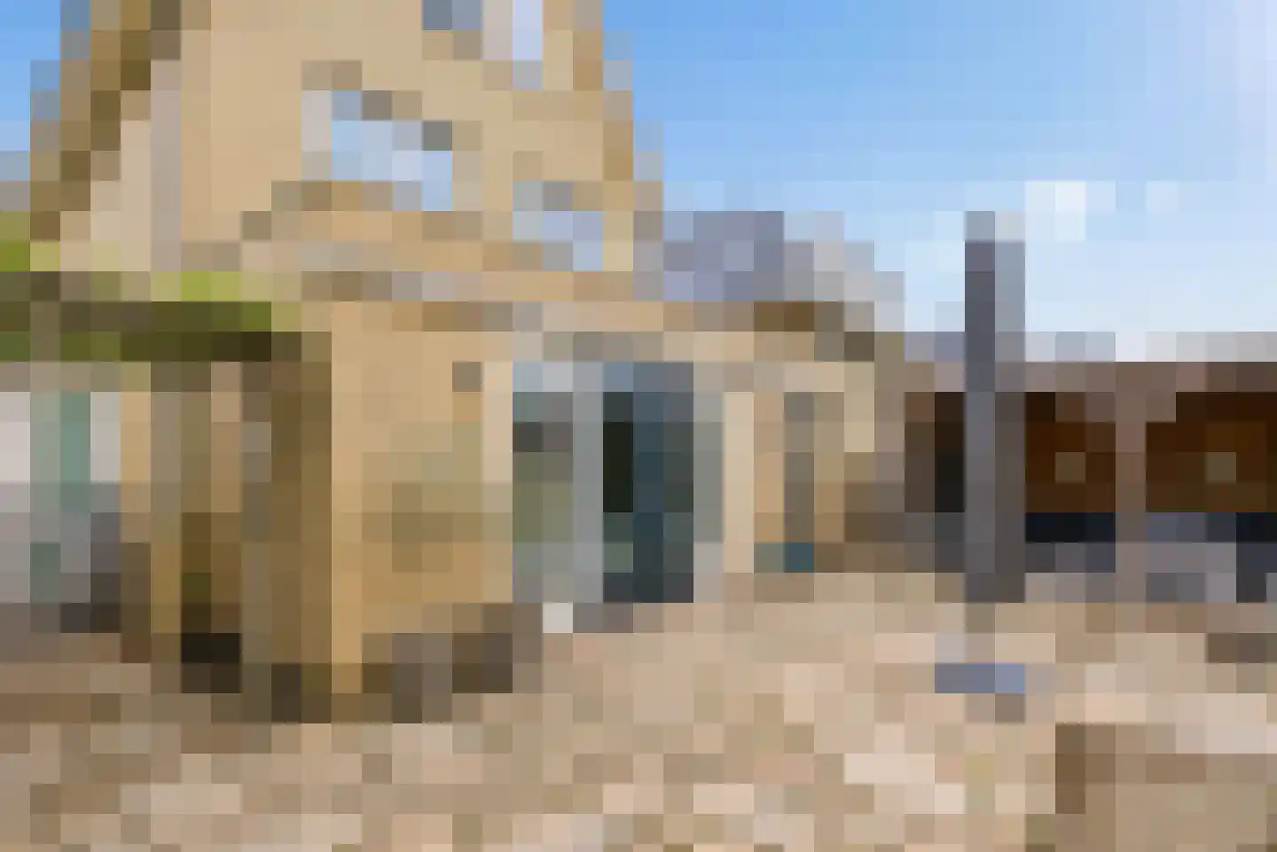 Rietkamp 23 Odijk thumbnail 56