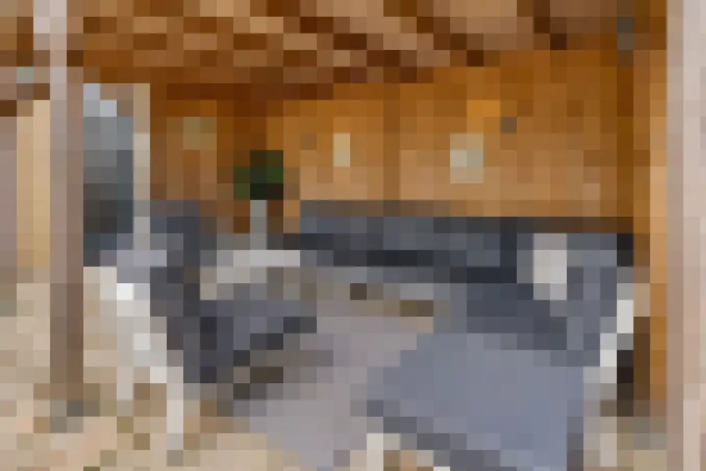 Rietkamp 23 Odijk thumbnail 72