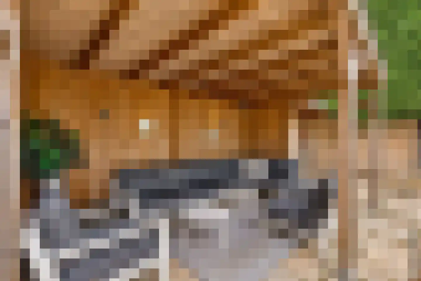 Rietkamp 23 Odijk thumbnail 73