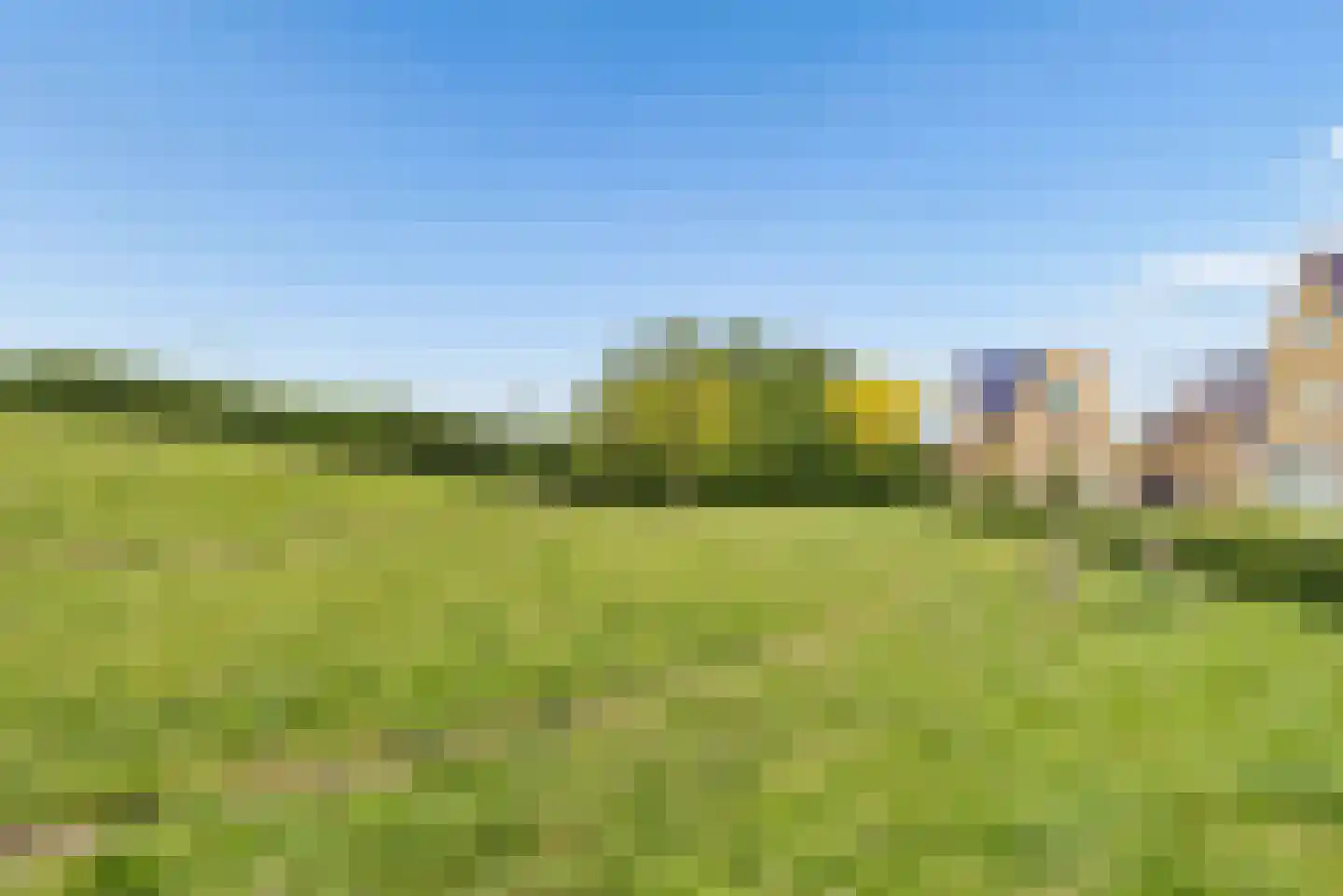 Rietkamp 23 Odijk thumbnail 80