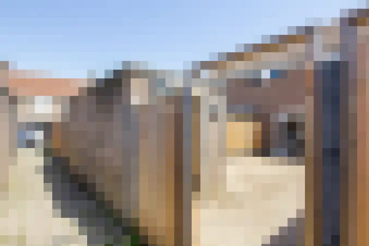 Rietkamp 28 Velserbroek thumbnail 15