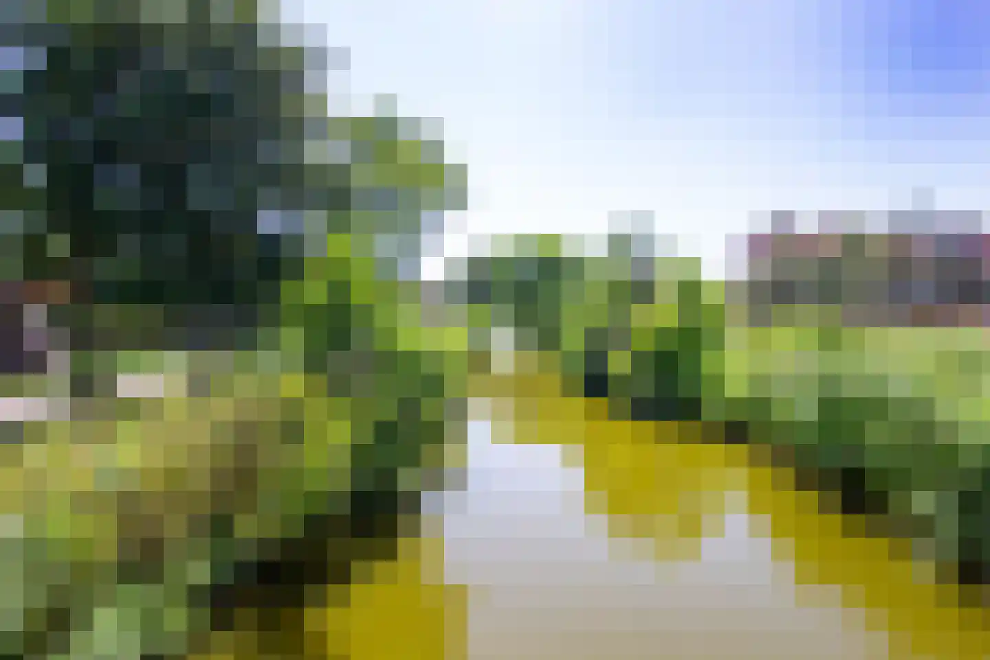 Rietkamp 28 Velserbroek thumbnail 32