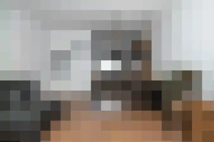 Rietkamp 34 Hattem thumbnail 11