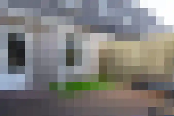 Rietkamp 34 Hattem thumbnail 33