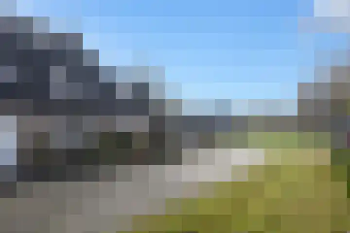 Rietkamp 34 Hattem thumbnail 4