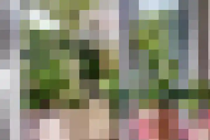 Rietkamp 36 Vianen thumbnail 17
