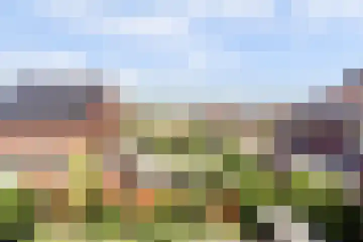 Rietkamp 36 Vianen thumbnail 49