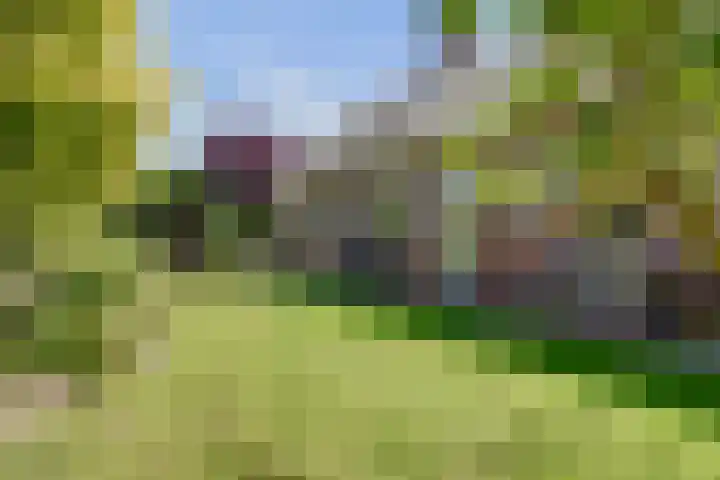Rietkamp 36 Vianen thumbnail 55