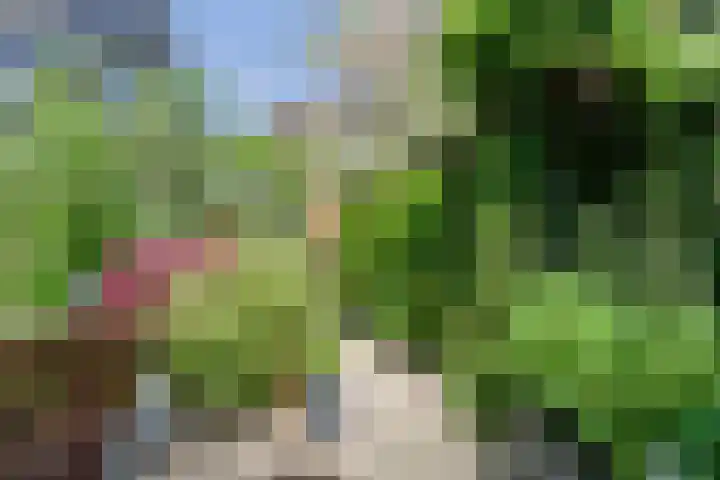 Rietkamp 36 Vianen thumbnail 63