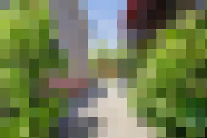 Rietkamp 36 Vianen thumbnail 65