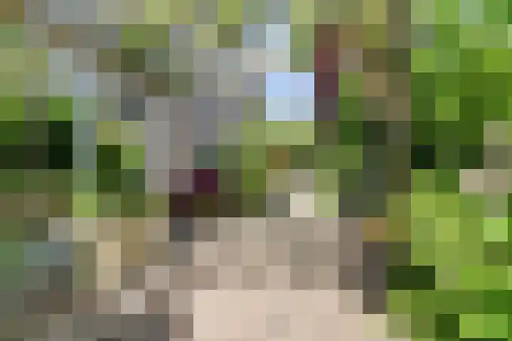 Rietkamp 36 Vianen thumbnail 66