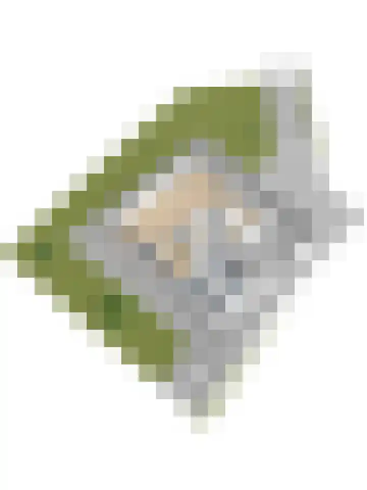 Rietkamp 36 Vianen thumbnail 74