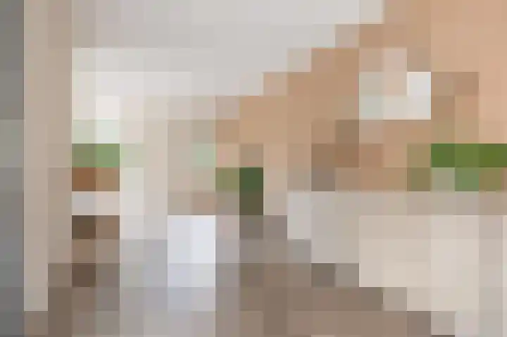 Rietkamp 58 Odijk thumbnail 14