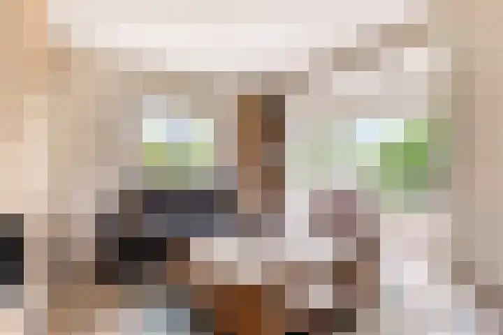 Rietkamp 58 Odijk thumbnail 17