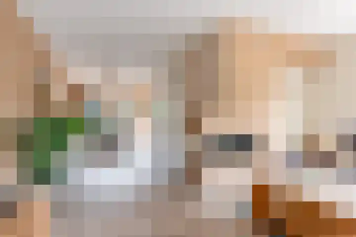 Rietkamp 58 Odijk thumbnail 20