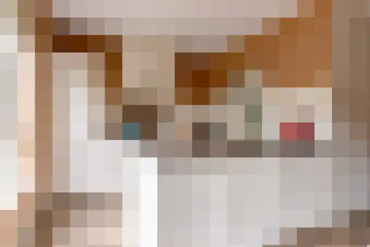 Rietkamp 58 Odijk thumbnail 24