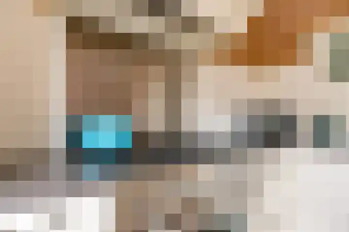 Rietkamp 58 Odijk thumbnail 28