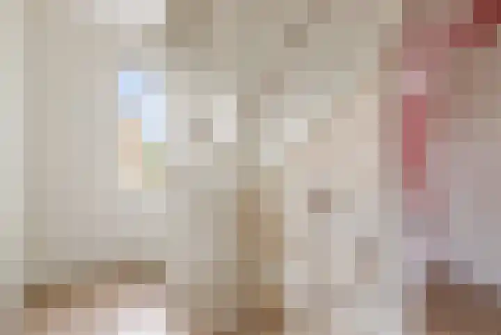 Rietkamp 58 Odijk thumbnail 30