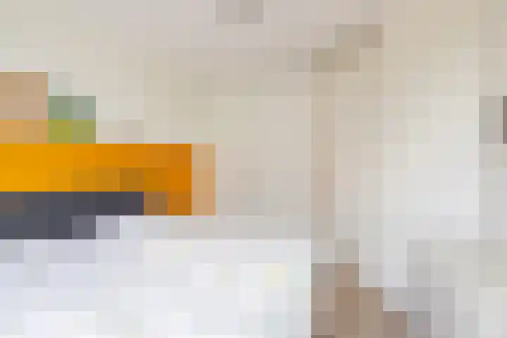 Rietkamp 58 Odijk thumbnail 36
