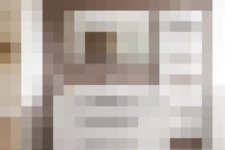 Rietkamp 58 Odijk thumbnail 41