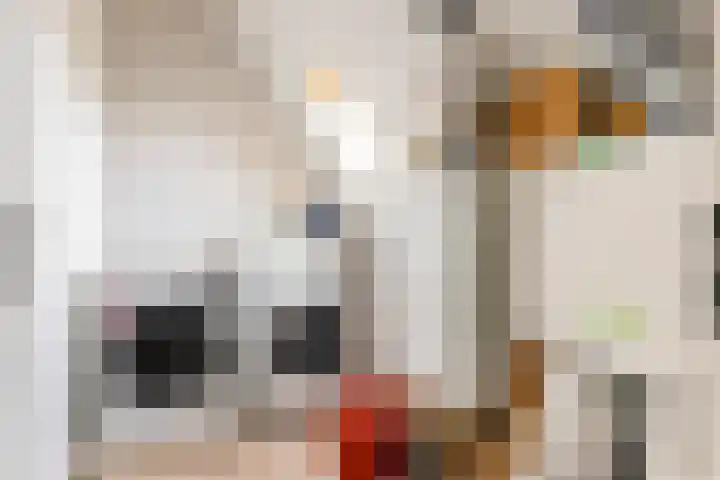 Rietkamp 58 Odijk thumbnail 46