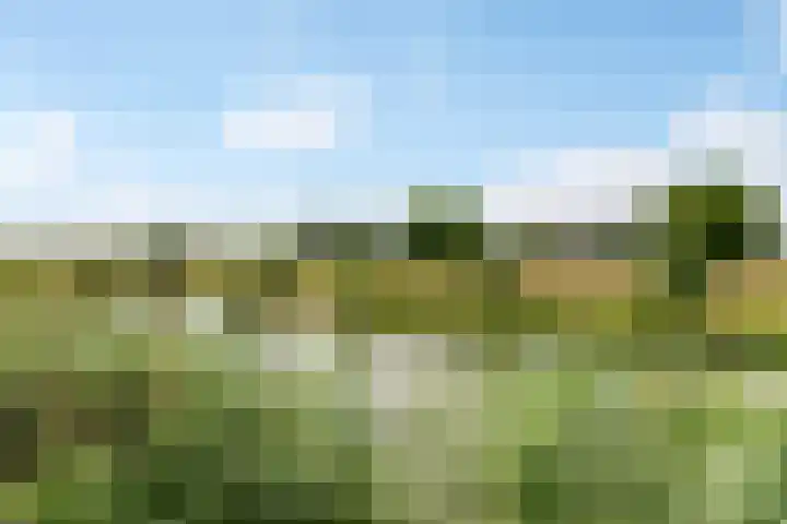 Rietkamp 58 Odijk thumbnail 5