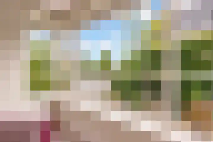 Rietkamp 58 Odijk thumbnail 50
